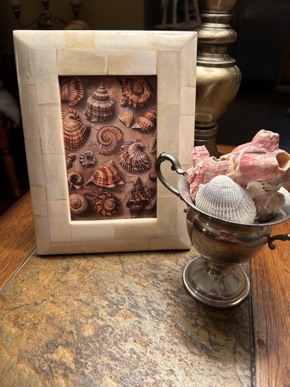 Bone Frame with Vintage Style Shell Specimen Art